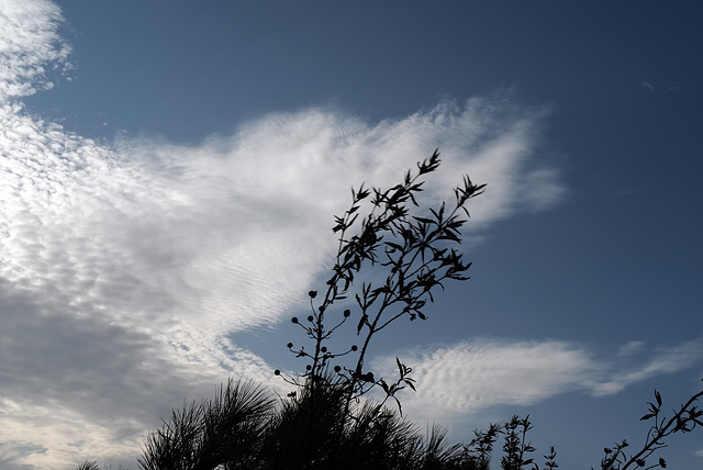 Penedos, Windy morning