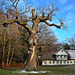 Das Schweizerhaus im Schlosspark