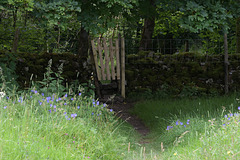 HFF~ The stile gate