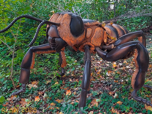 Not fenced in on saturday ...