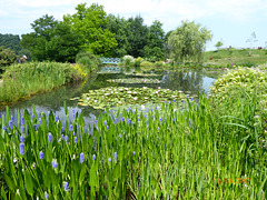 les jardins d'eau les jardins d'eau