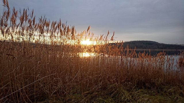 Dezember-Spaziergang am See