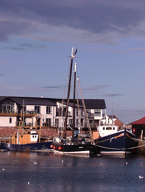 TiG - FV Reaper at Arbroath