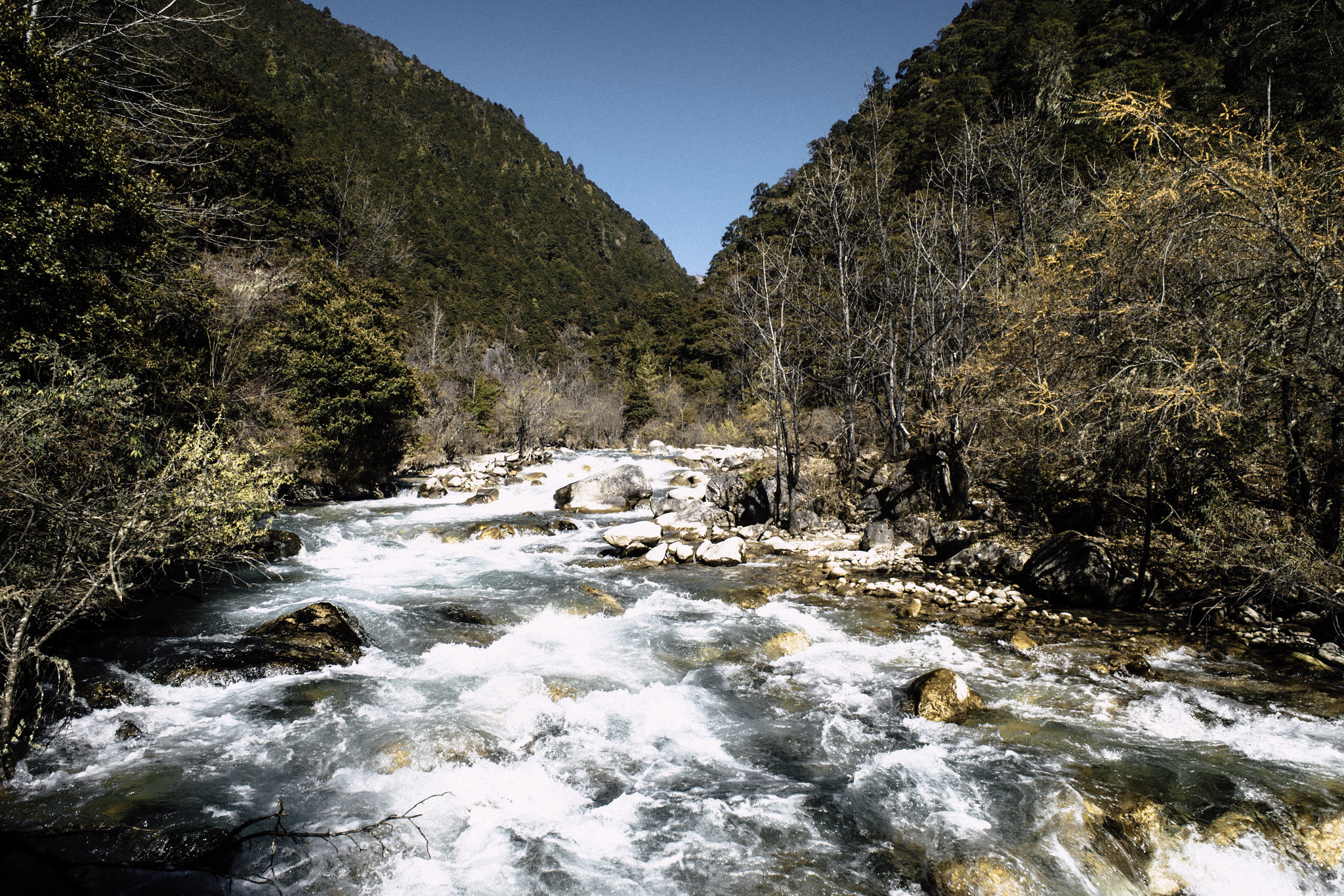 A river