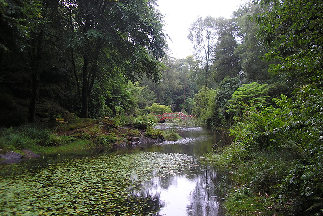 Portmeirion Gardens