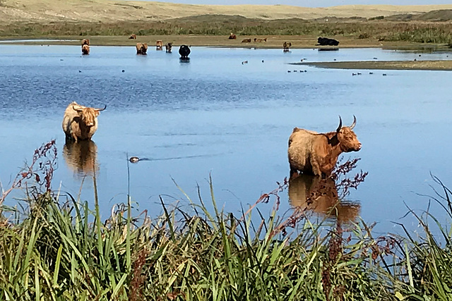 Abkühlung im heissen Sommer