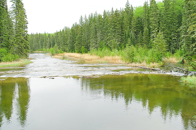 Waskesiu River riffles