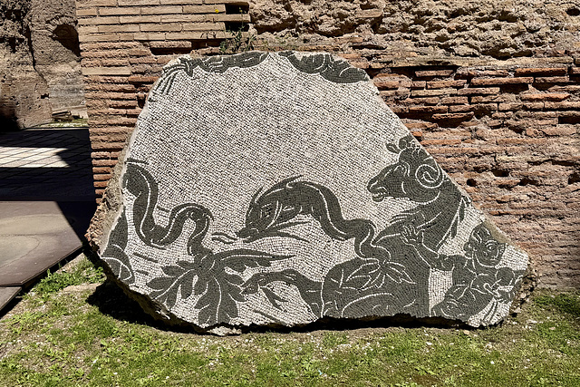 Rome 2026 – Baths of Caracalla – Mosaic
