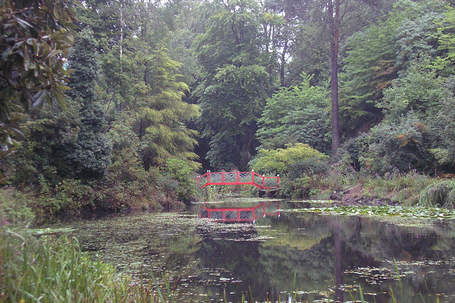 Portmeirion Gardens