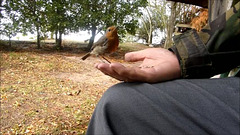 Robin's Sunday afternoon snack