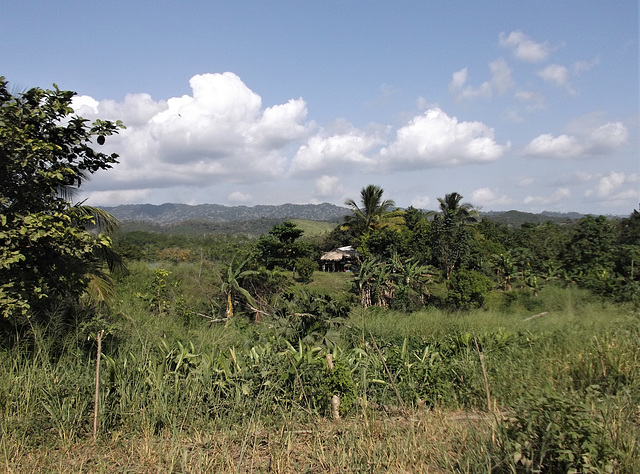 Paisaje del Darién