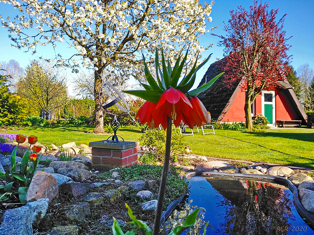 Frühling im Garten