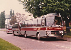 Morley's Grey coaches at RAF Mildenhall - 29 May 1983 (833-11)