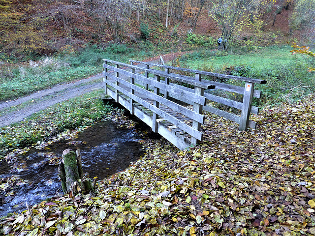 Auf dem Bergheidenweg