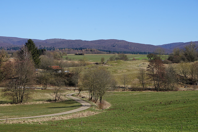 Harzblick über den Spahnberg