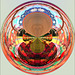 Happy colors circle for PAM