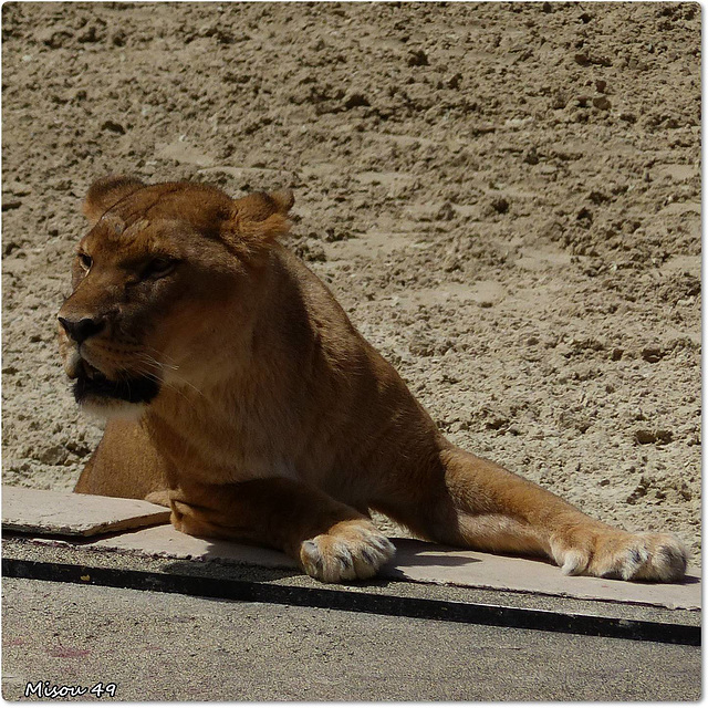 LE PUY du FOU