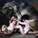 For all Rome adicts