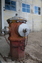 hydrant 2017