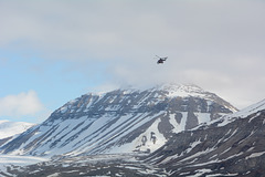 Svalbard, In Searching of a Polar Bear (by helicopter)