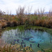 Ash Meadows National Wildlife Refuge