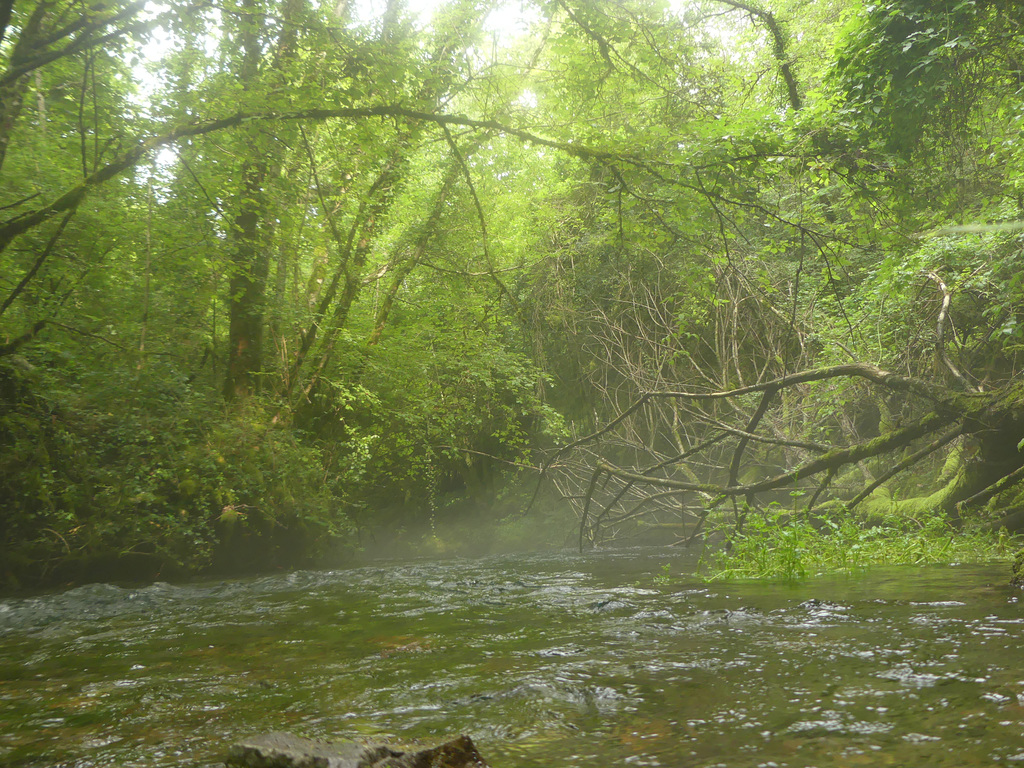 20180720 Rando solo Source du Durzon (61)