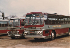 Morley's Grey 820 NEA and WCF 539K at West Row - Jan 1983 (831-19)