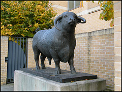 Oxford's bronze ox