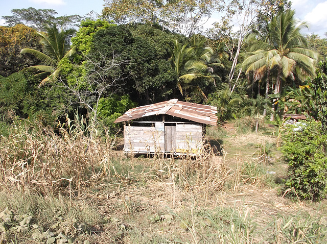 Cabane résidentielle pour solitaire