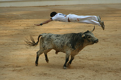 Une pirouette sur un taureau
