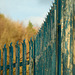 A Fence...Not Offence.....or is it?