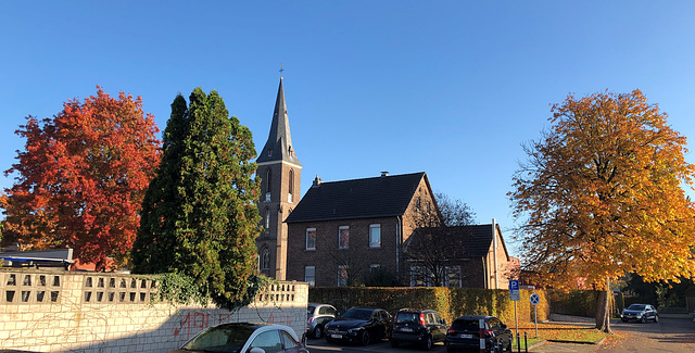 DE - Bergisch-Gladbach - Herbstfarben