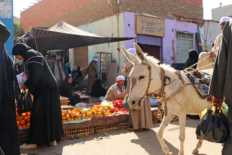 Market day in Daraw (Explored)