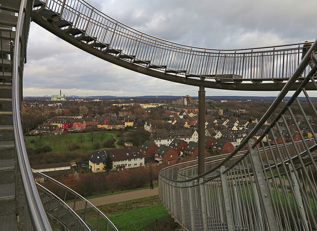 Tiger & Turtle -