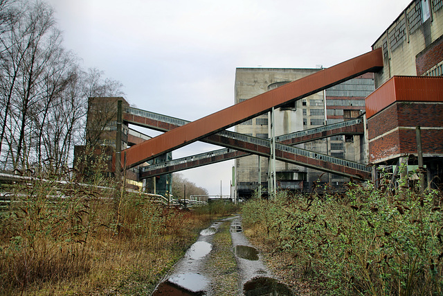 Bandbrücken an der Kohlenwäsche (Zeche Westerholt 1/2/3, Herten-Westerholt) / 9.03.2019