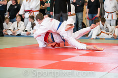 oster-judo-0617 17148256665 o