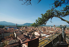 Torre Guinigi - Ausblick vom Turm