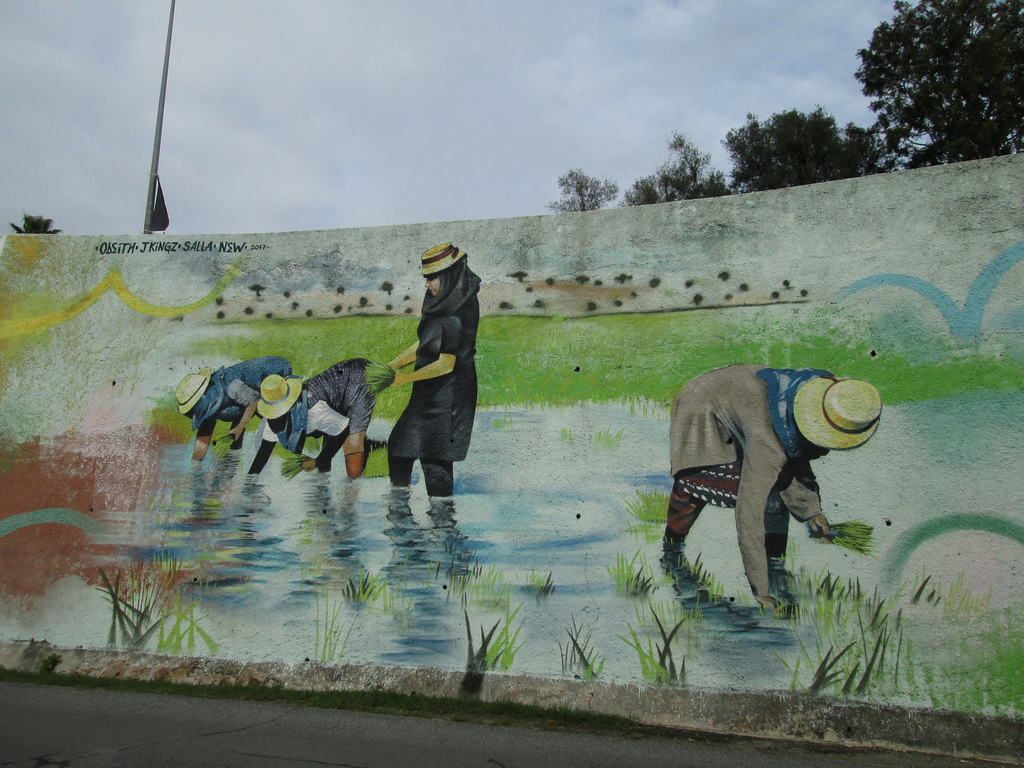 Rice harvest on Sado riversides.