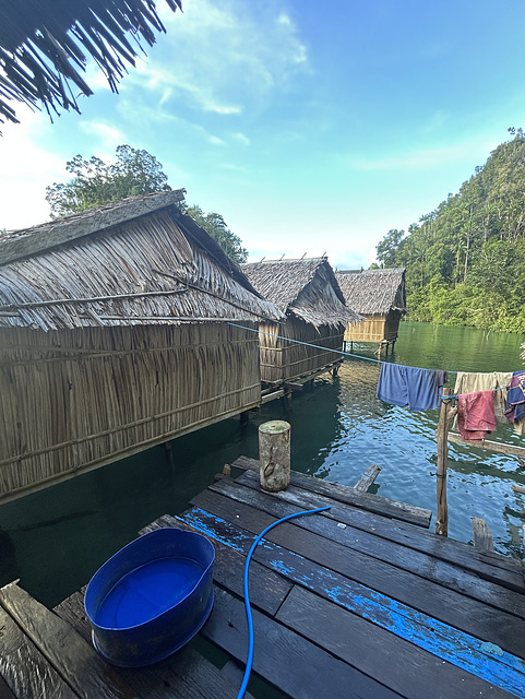 Palmtree leaves walls and roofs.
