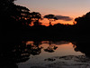 Sunset in the Pantanal