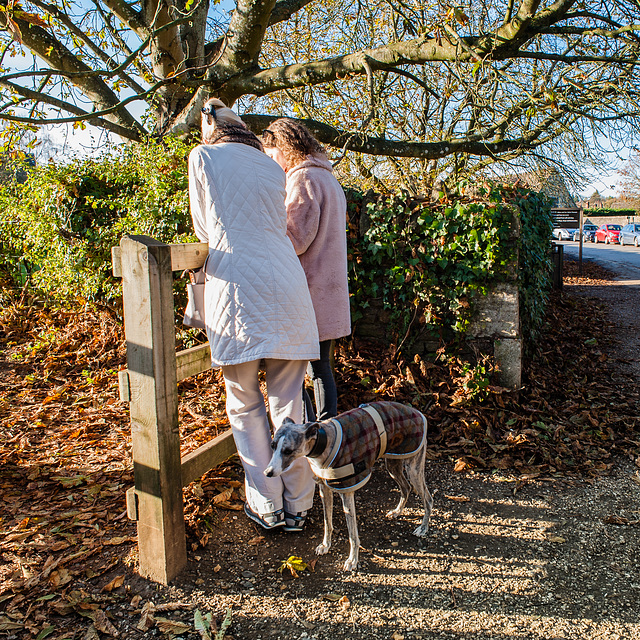 Two Women and a Dog