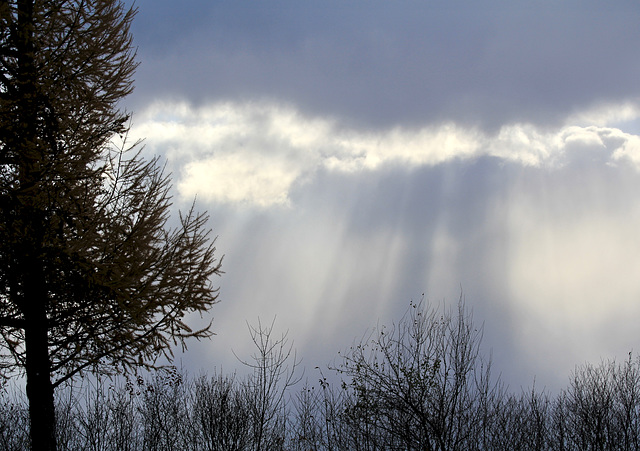 Ruhe vor dem Sturm