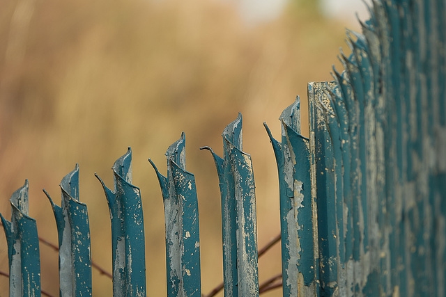 A Fence...Not Offence.....or is it?
