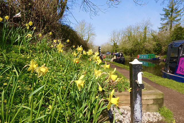 Shropshire Union Canal