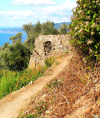 CinqueTerre  2xPIP