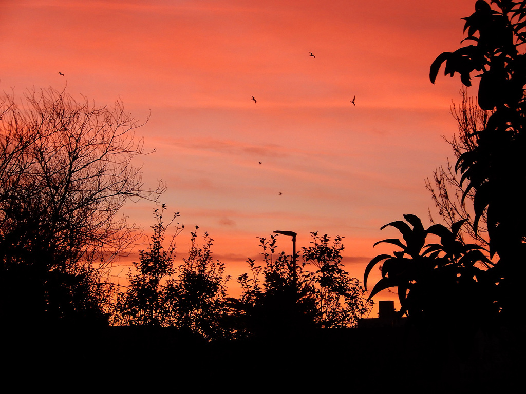 un matin merveilleux