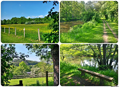 StLéoGasseauCollage1