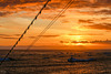 Sailing into the Sunset