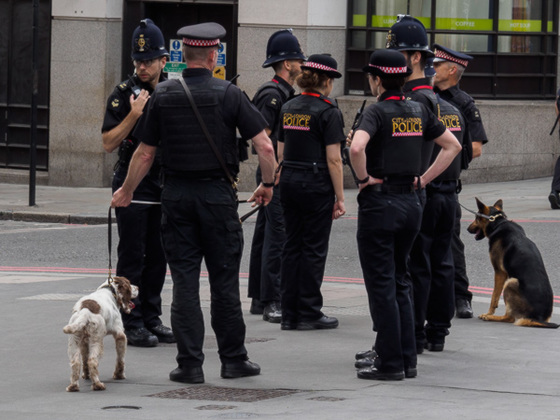 City Police, London Bridge