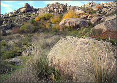 Autumn in La Sierra de La Cabrera